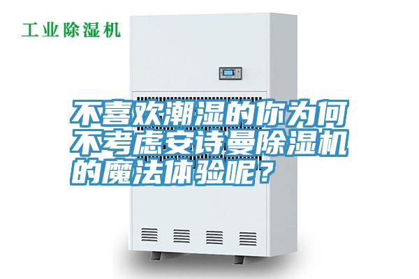 不喜歡潮濕的你為何不考慮安詩曼除濕機的魔法體驗呢？