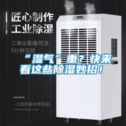 “濕氣”重?快來看這些除濕妙招!