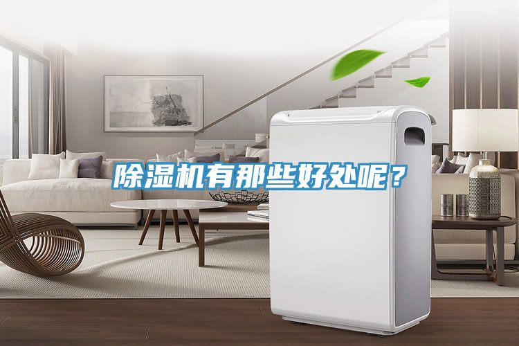 除濕機(jī)有那些好處呢？