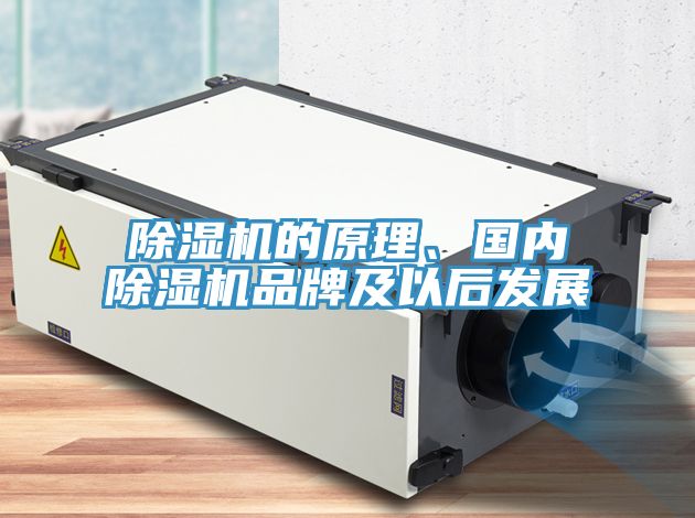 除濕機的原理、國內除濕機品牌及以后發展