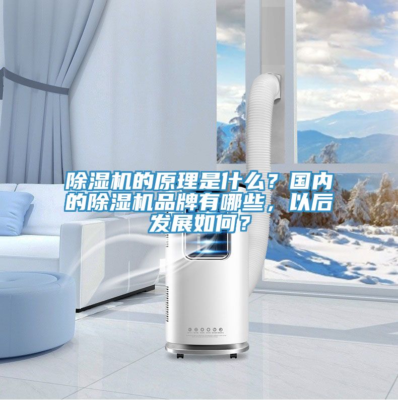 除濕機的原理是什么？國內的除濕機品牌有哪些，以后發展如何？