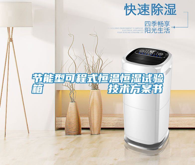 節(jié)能型可程式恒溫恒濕試驗(yàn)箱 技術(shù)方案書