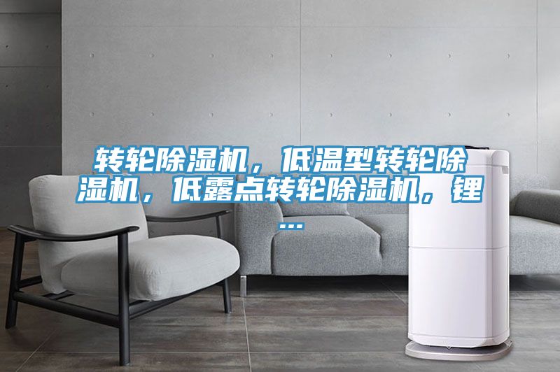 轉輪除濕機，低溫型轉輪除濕機，低露點轉輪除濕機，鋰 ...